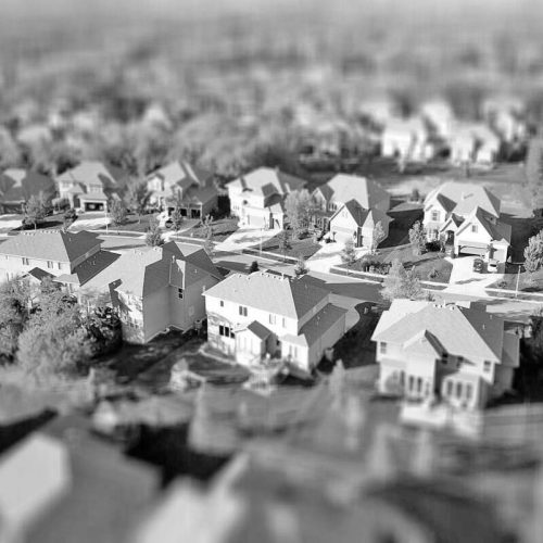 pexels-david-mcbee-1546168 copia